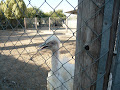 Melios Zoo - A happy experience in Nicosia Melios Zoo - A happy experience in Nicosia