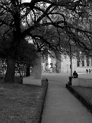 Elm Street, Dallas