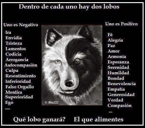 Lobos Internos