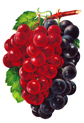 http://4.bp.blogspot.com/--iUZYU6FynA/T-snuWSzZII/AAAAAAAACDk/2wYQ3tM8Suk/s1600/2grapes.jpg