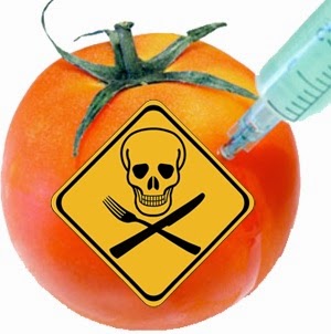 http://www.misija.com/gmo/vy/15/genetically-modified-food