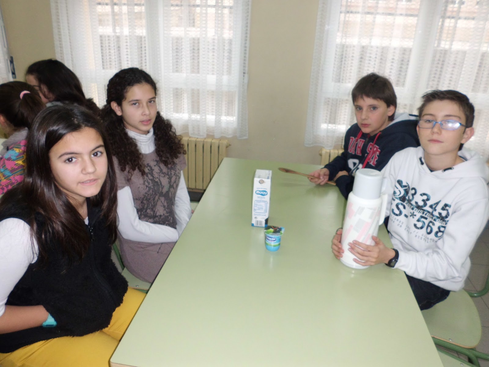 SCIENCE IN THE SCHOOL REPORT MAKING YOGHURT