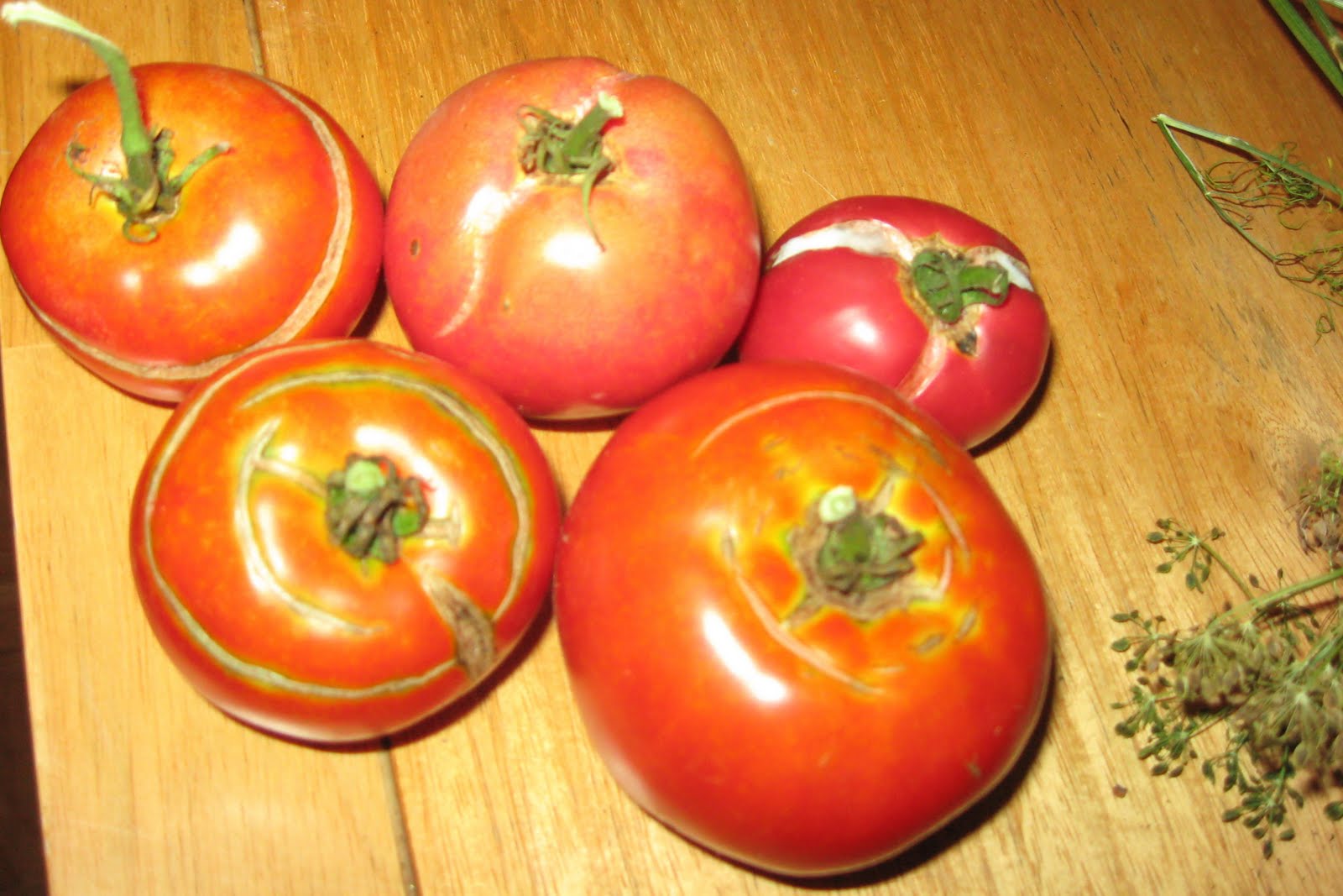 Tomato with Cracked Skin
