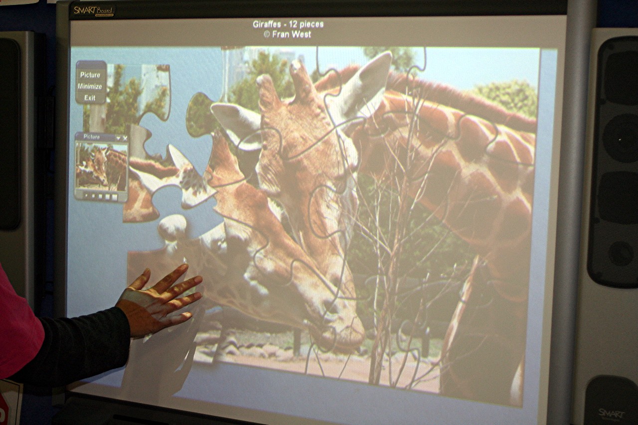 Alzheimer's Products Jigsaw Puzzles