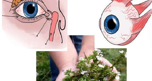 Improve Your Vision And Regulate Eye Pressure Using This Remedy Improve Your Vision And Regulate Eye Pressure