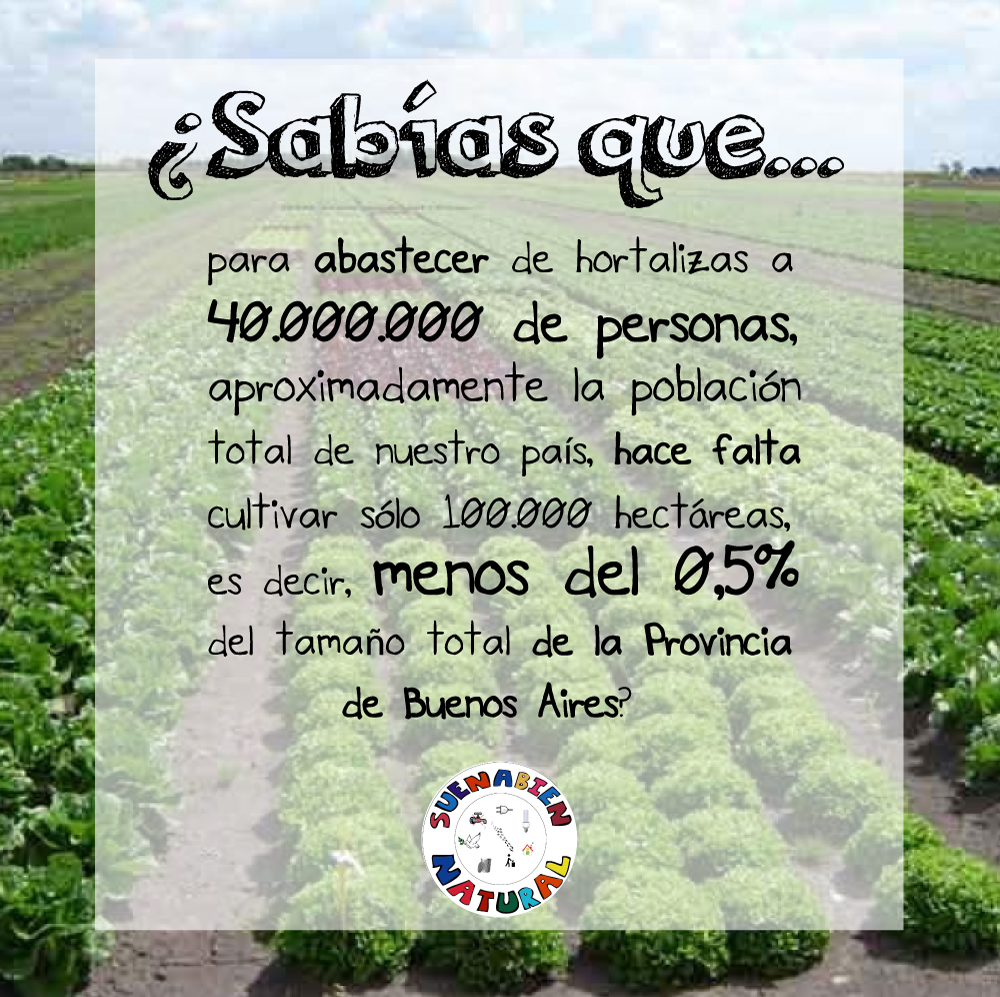 Suenabien Natural Por Que Hacer Una Huerta Organica En Casa