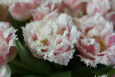 Melbourne International Flower and Garden Show