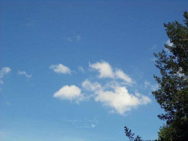 Clouds that look like a wolf running on a mountain