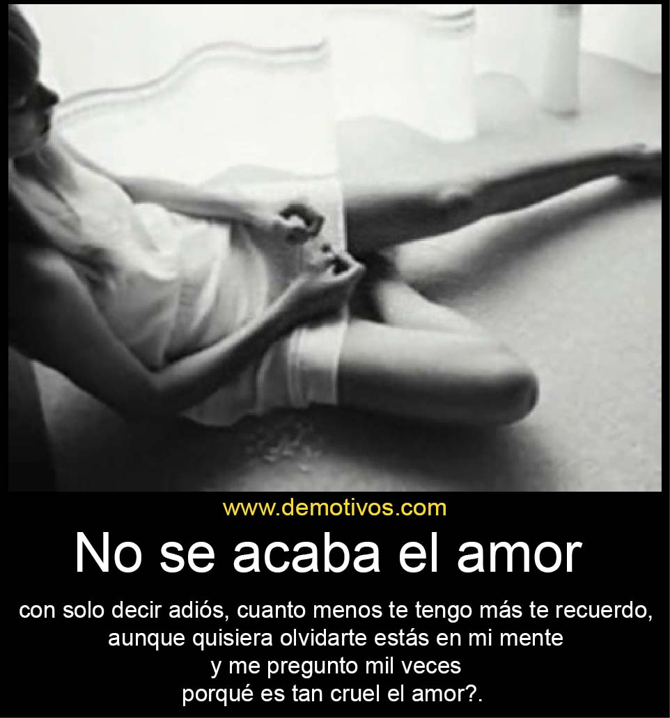 HOY AMOR HOY AMOR hoy amor hoy amor:
