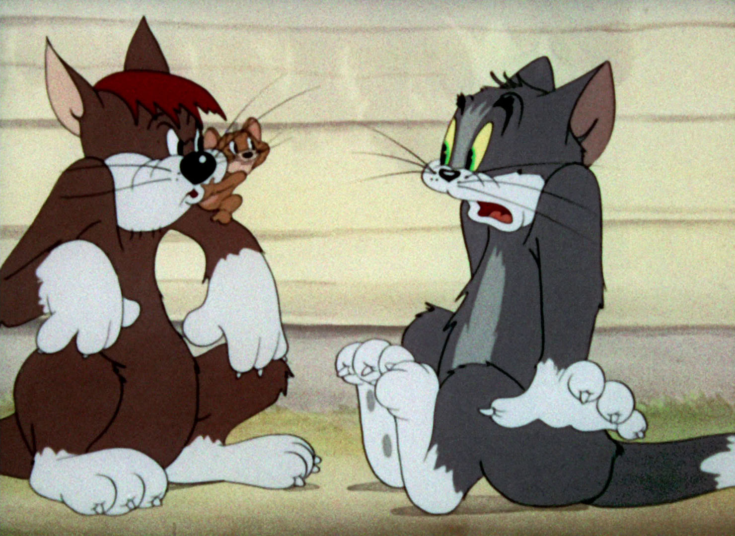 Tom Amp Jerry Pictures Quot Sufferin Cats Quot
