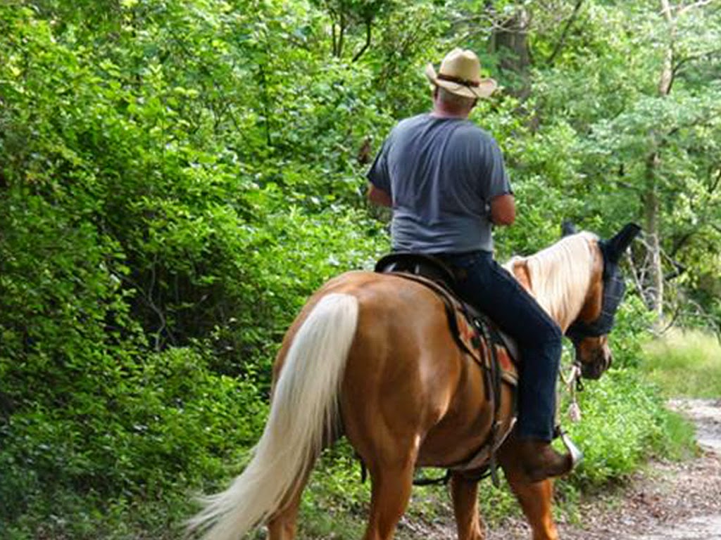 Trail Riding in the Great Smoky Mountains