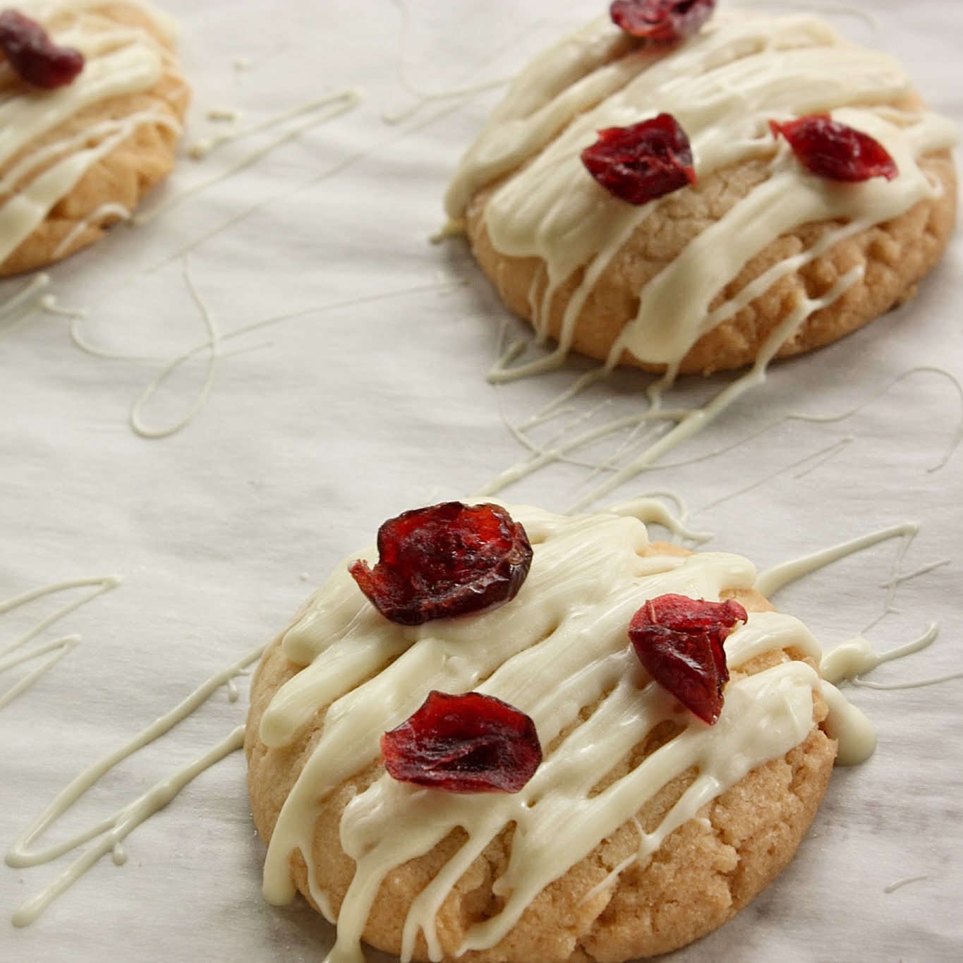 Art of Dessert White Chocolate and Cranberry Shortbread Cookies