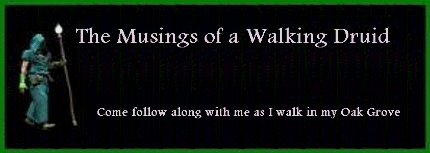 Musings of a WalkingDruid
