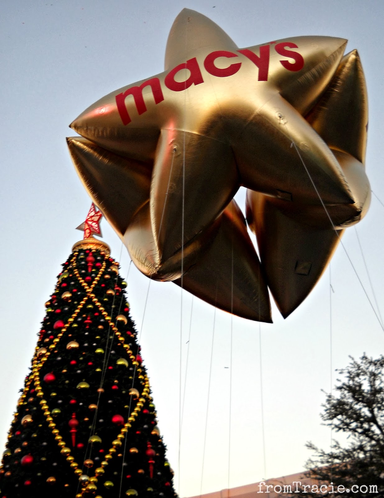 From Tracie Naughty & Nice Holiday Celebration at Universal Orlando Resort