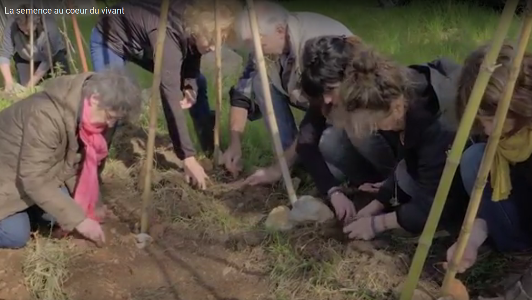 Jardin Participatif Innovant "Semons, le coeur du Monde", Gardien de semences reproductibles.