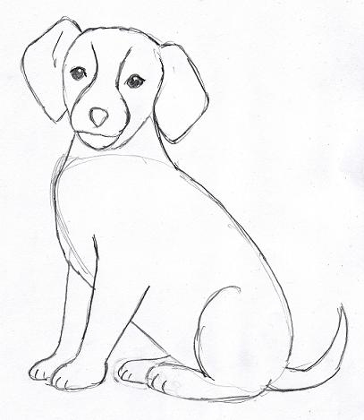funny pictures: How to draw a dog easily for kids