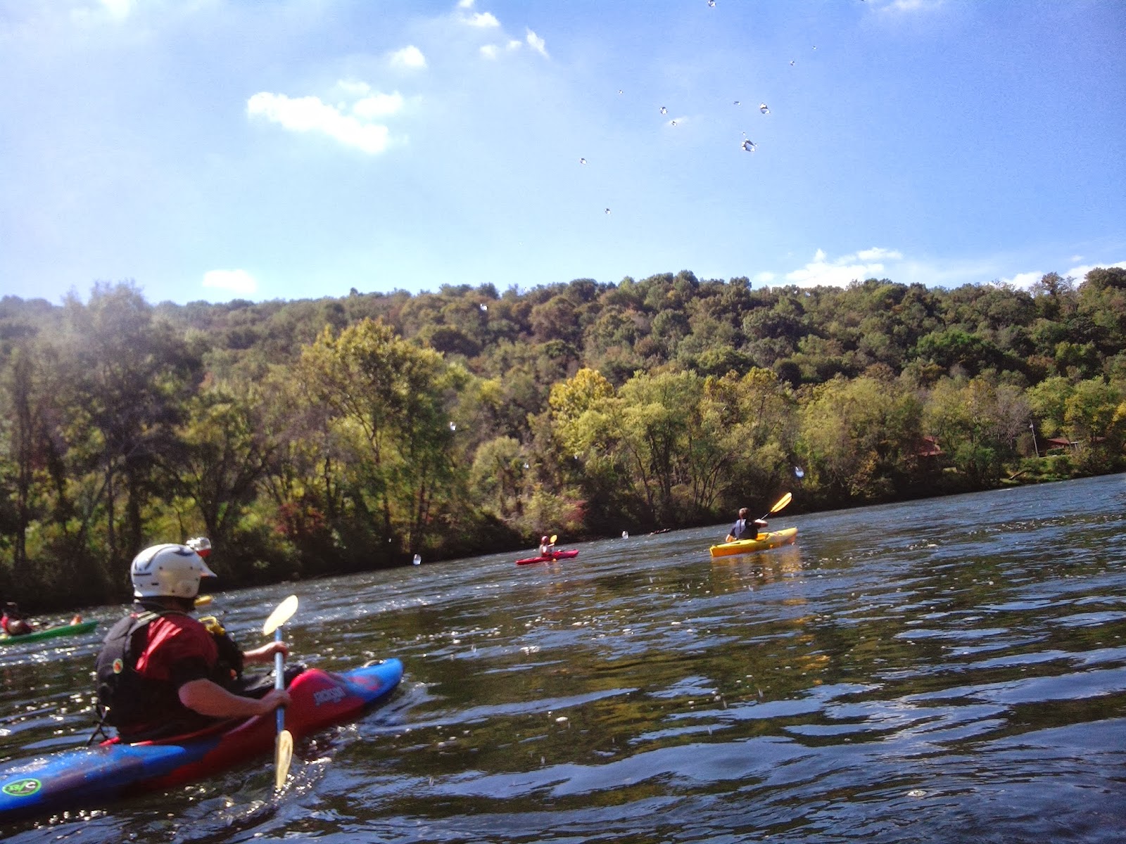 Hop. Spice. Travel. Kayaking the Clinch River