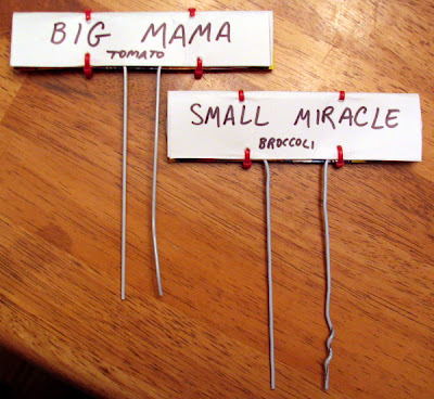 Creative and Cool Ways To Reuse Clothes Hangers (20) 12