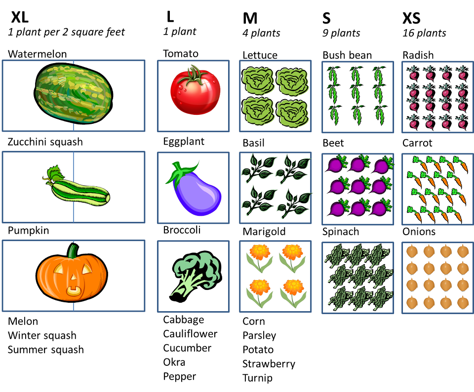 Square Foot Gardening Chart