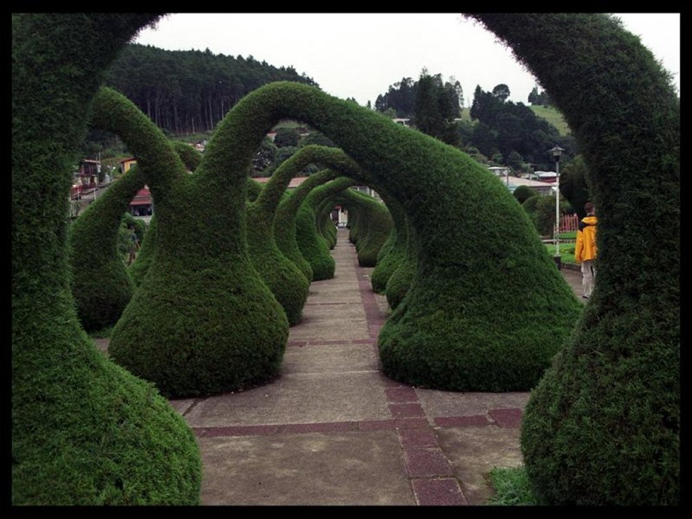 alice in wonderland garden magical alice in wonderland garden archway archway amore linguine and me alice in wonderland garden magical alice in wonderland garden archway archway amore linguine and me