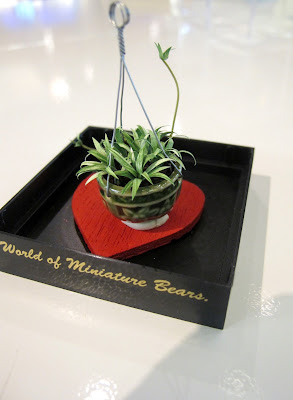 Dolls' house miniature spider plant.