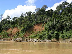 Tropical Rainforest Tropical Rainforest