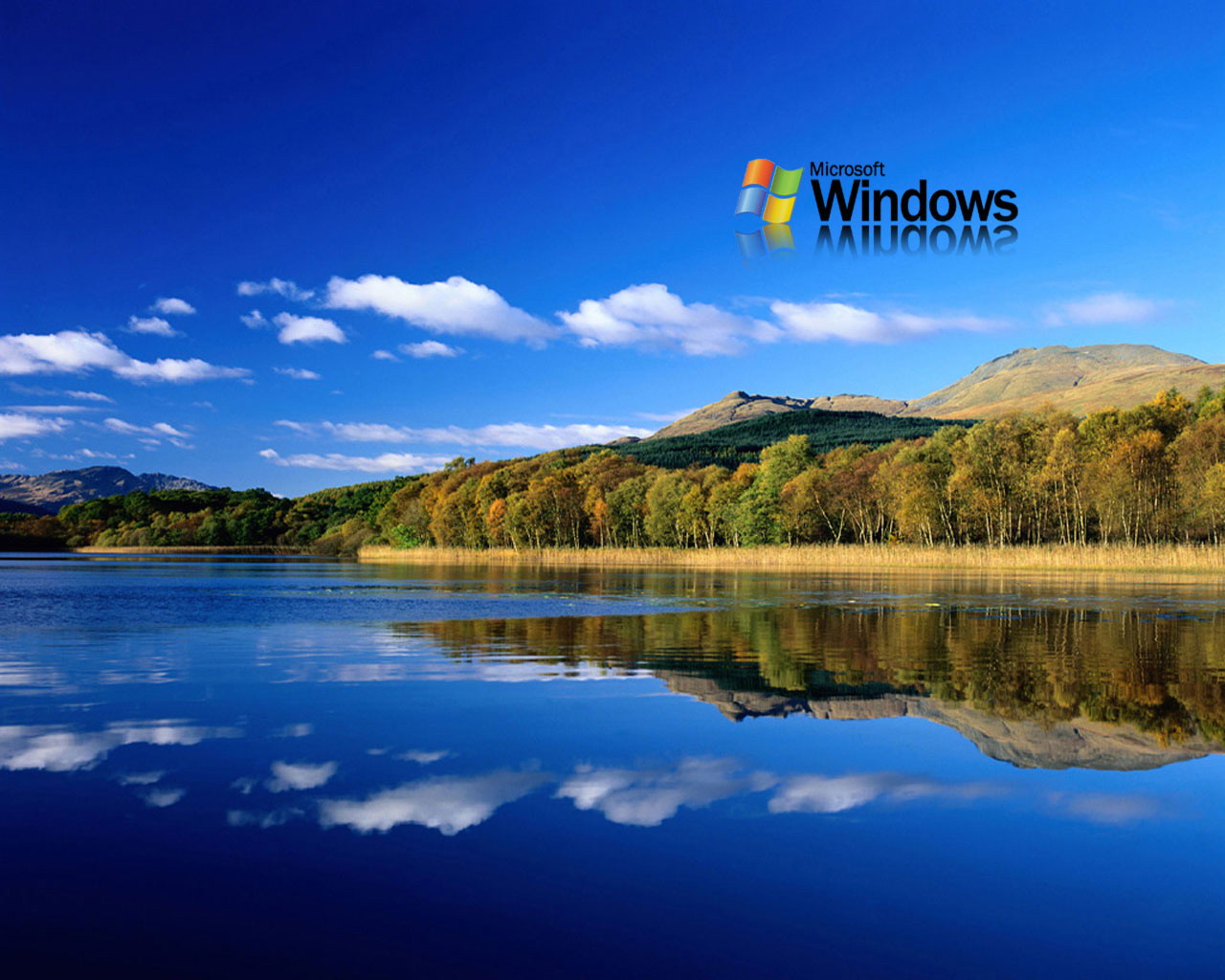 http://4.bp.blogspot.com/--mtW3Pk0V08/T-VMIBWqOEI/AAAAAAAAB4k/WdqxJm-GDvQ/s1600/microsoft+windows+fondo.jpeg