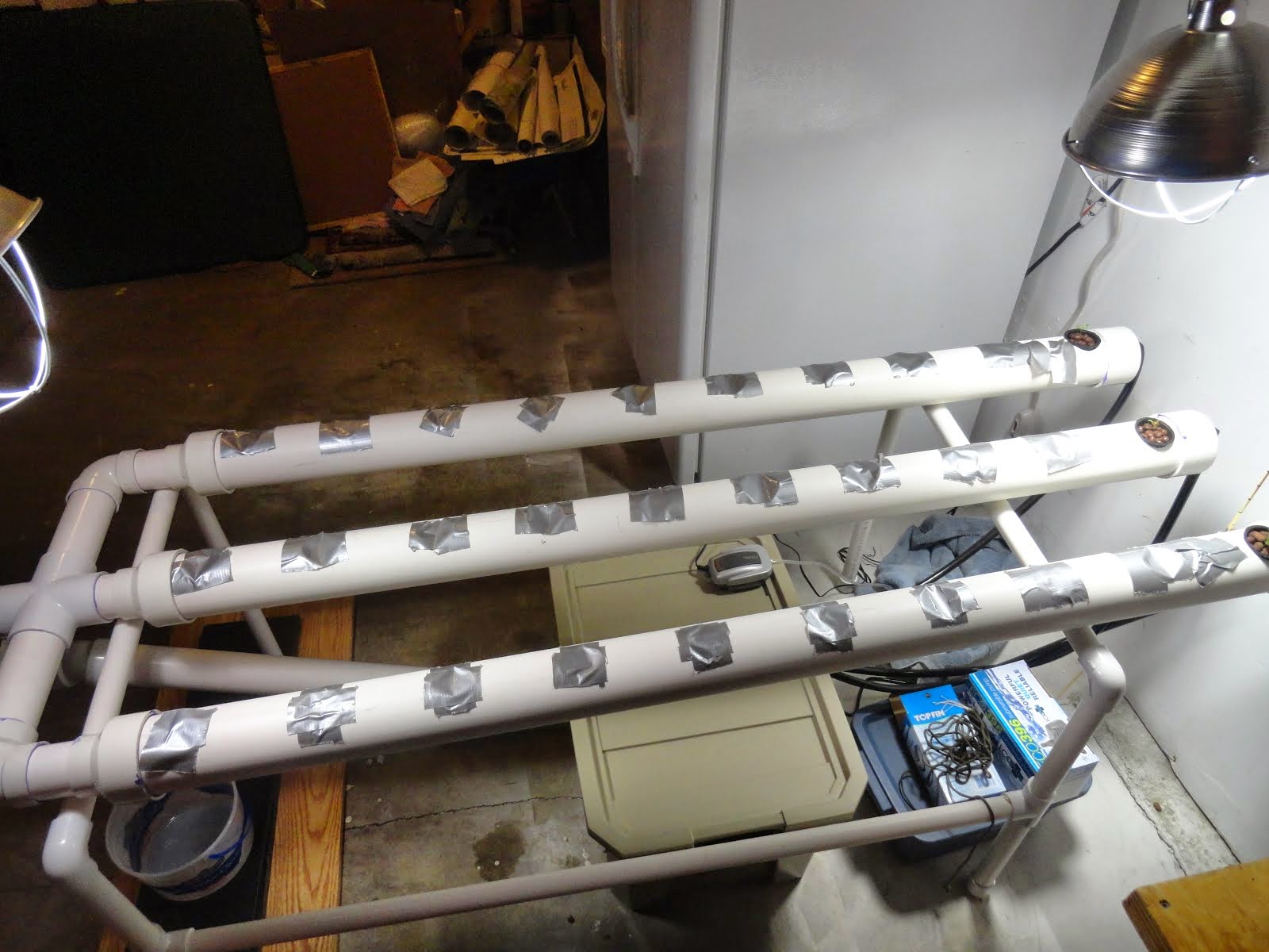 My Hydroponics Wilted lettuce