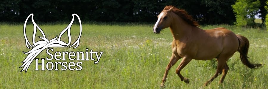 Serenity Horses