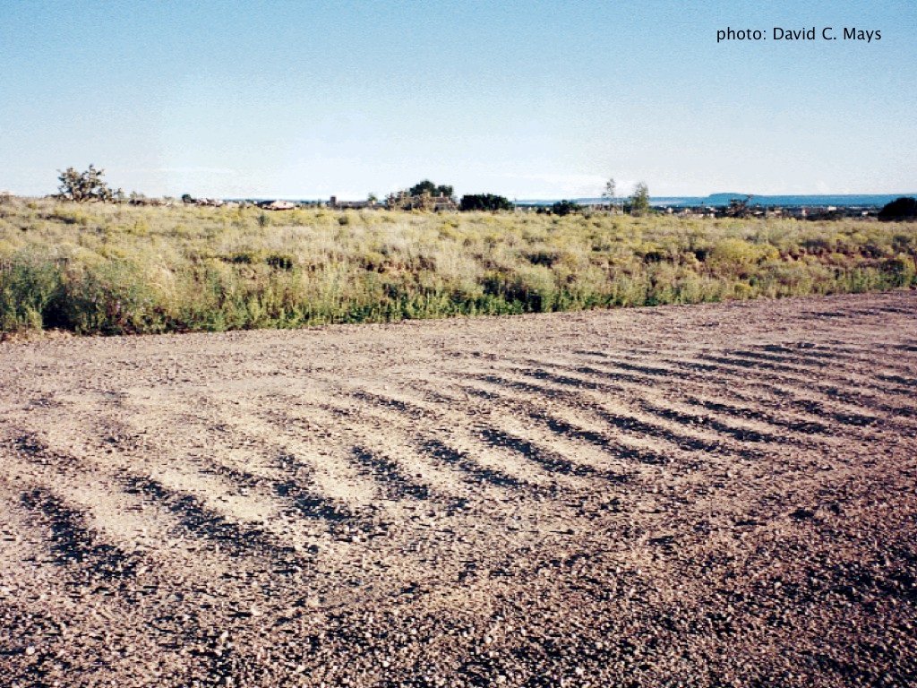TYWKIWDBI ("TaiWikiWidbee") The physics of a "washboard road"