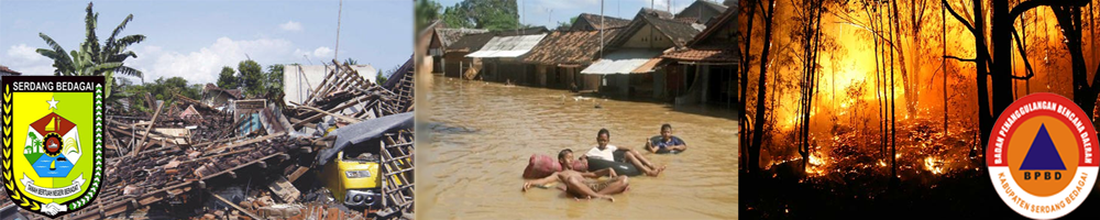 BADAN PENANGGULANGAN BENCANA DAERAH KABUPATEN SERDANG BEDAGAI TENTANG BPBD