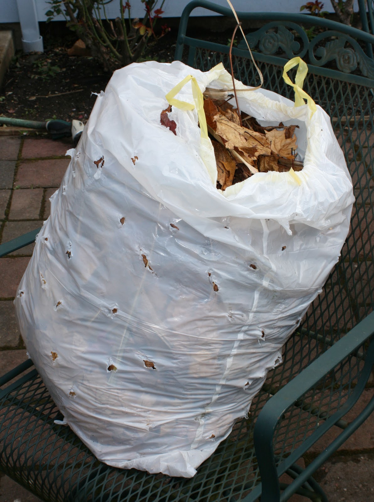 Food and Garden Dailies How to Compost the Easy Way