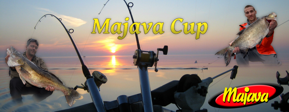 Majava Cup