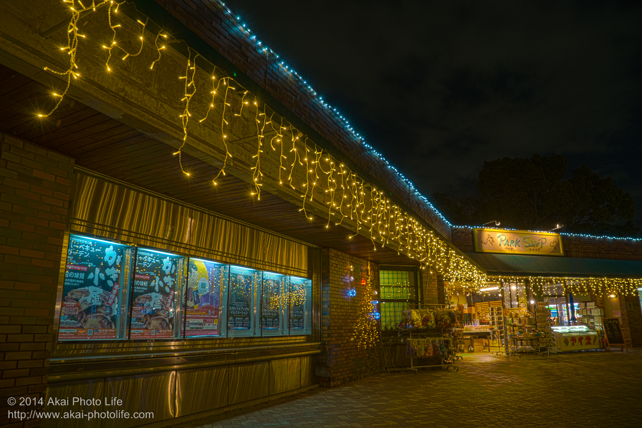 国営昭和記念公園のイルミネーション(Park Shop 立川口売店)