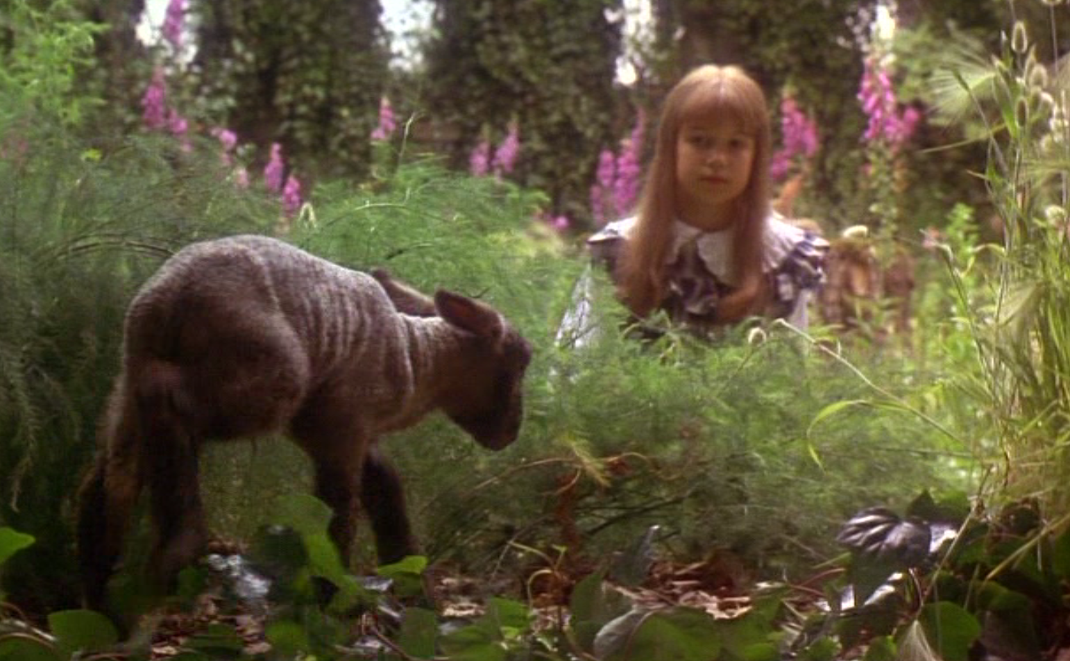 the secret garden movie essay Free and custom essays at essaypediacom take a look at written paper - family values in movies the secret garden. the secret garden movie essay Free and custom essays at essaypediacom take a look at written paper - family values in movies the secret garden.