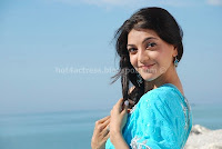 Hot, kajl, agarwal, latest, saree, stills