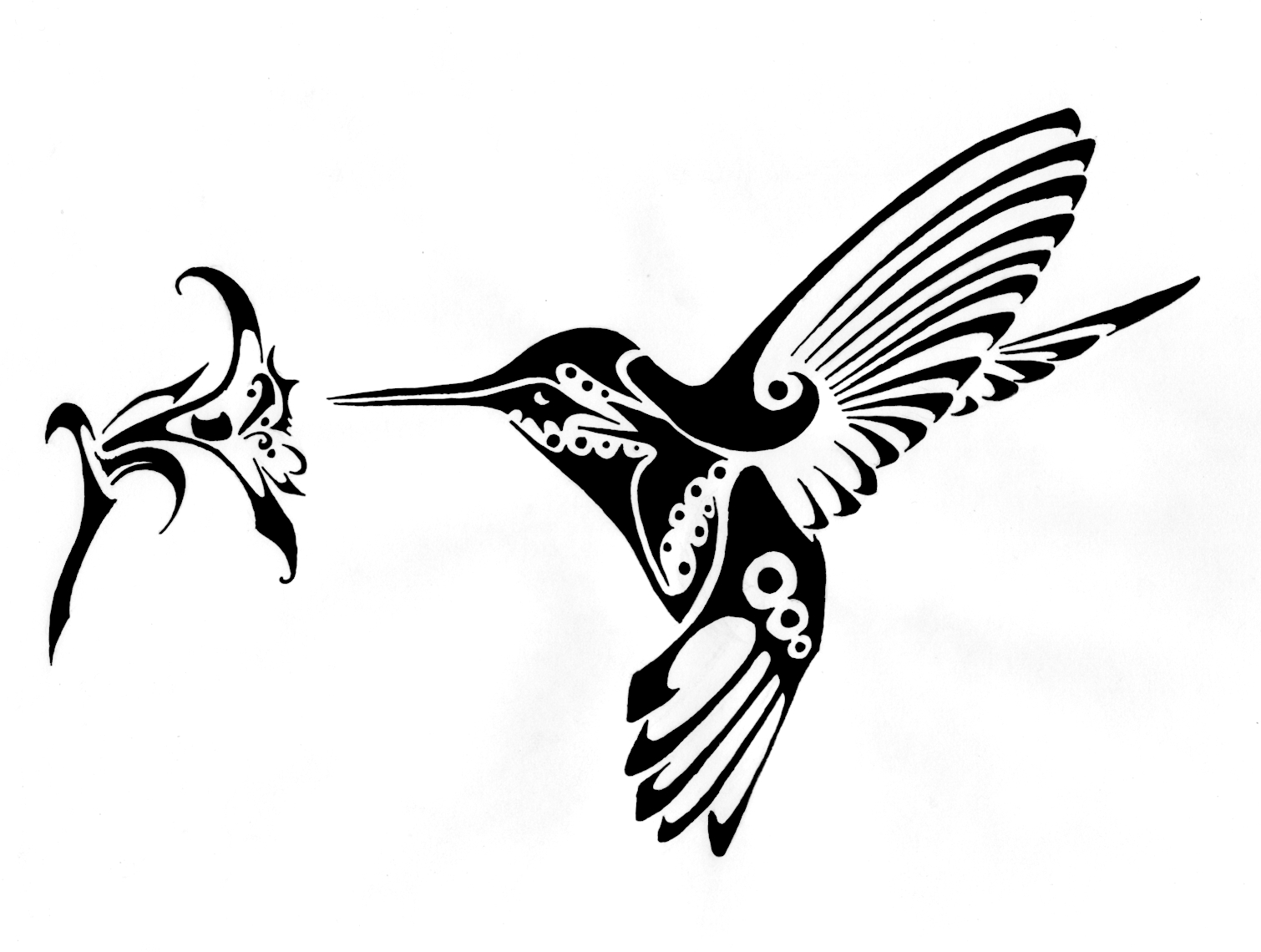 Line Art Hummingbird : 凱西的黑貓館 kathy s catworld 【oh my life★愛生活】與蜂鳥hummingbirds的約會