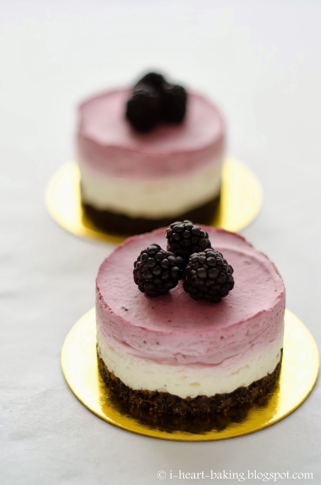 i heart baking!: individual mini blackberry mousse cakes