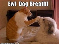 Replacements band name origins - dog breath How The Replacements got their band name - dog breath