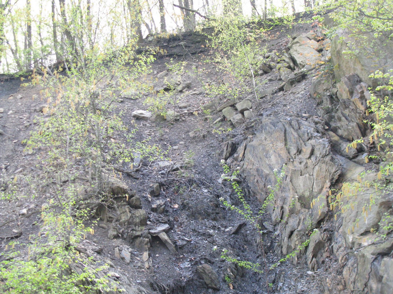 Coal Region History Chronicles