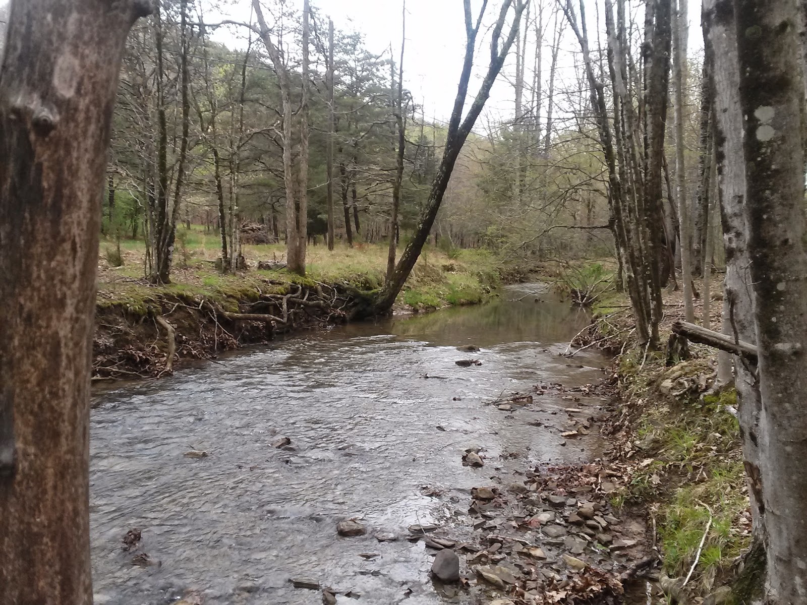 Virginia Water Radio Episode 265 (51115) A Waterbased Look at