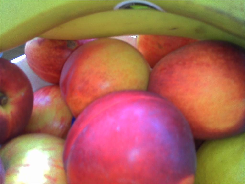 Things I Why Are Apples Crunchy?