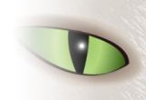 Pet Eye Fix Guide 2.1.2 لازالة احمرار العيون في الصور Pet-Eye-Fix-Guide-thumb%5B1%5D