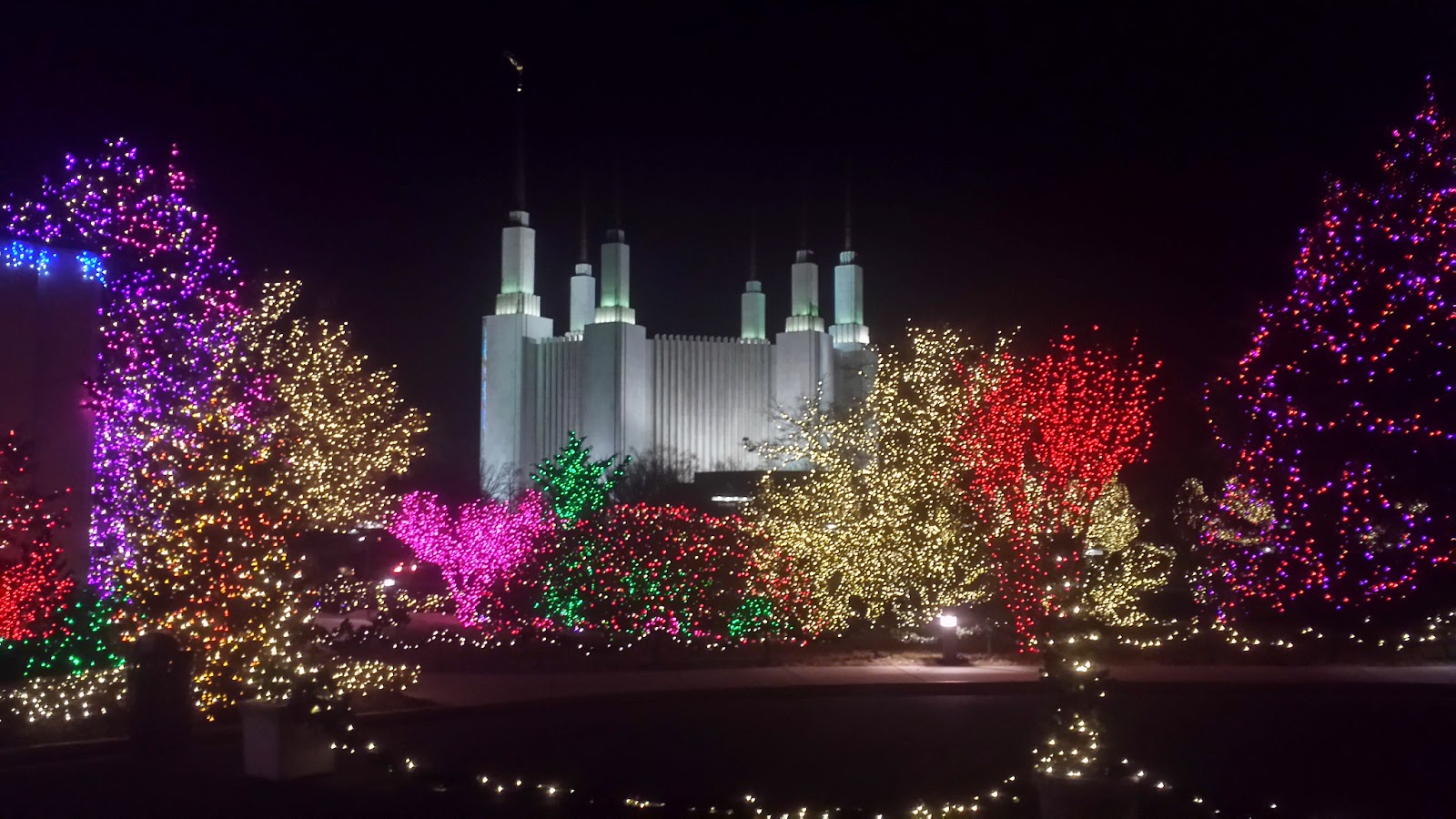 the chronicles of carson christmas lights make the season magical mormon temple dc christmas lights