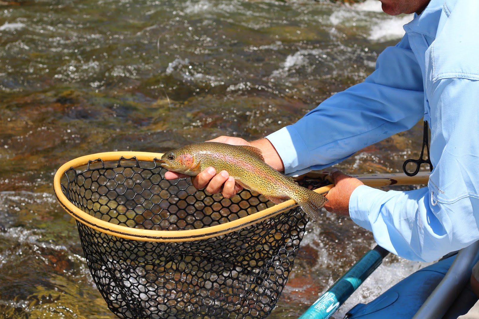 Flyfishing+the+Roaring+Fork+with+Jay+Scott+Outdoors+4.JPG