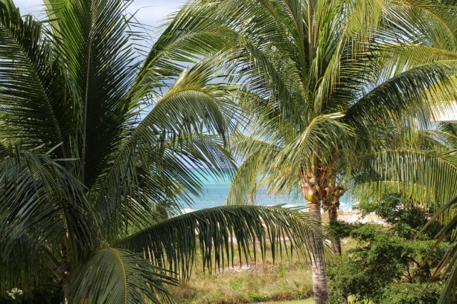 Turks & Caicos Recap Turks & Caicos Recap