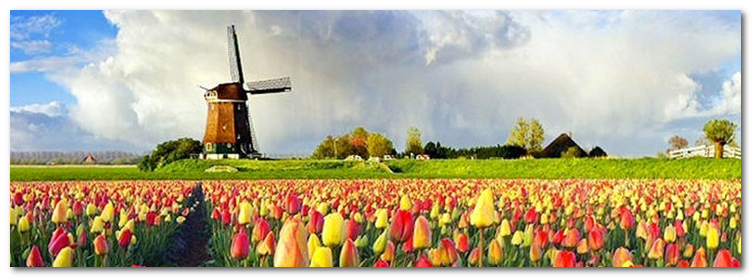 [Image: ve-may-bay-di-ha-lan-10.png]