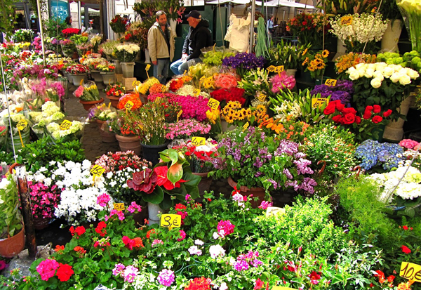 [Image: 7-khu-cho-hoa-ruc-ro-sac-mau-3.jpg]