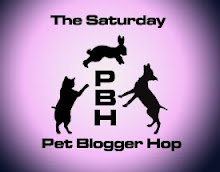 Saturday Pet Blogger Hop