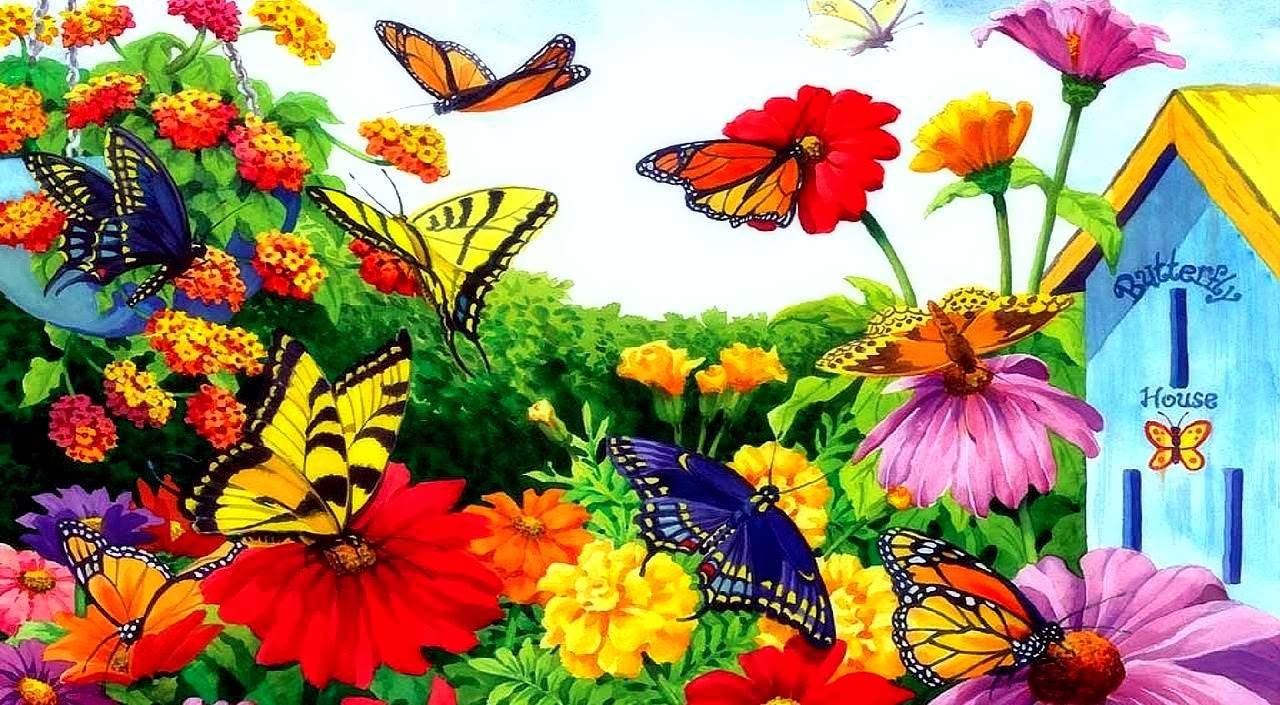 Beautiful Butterflies